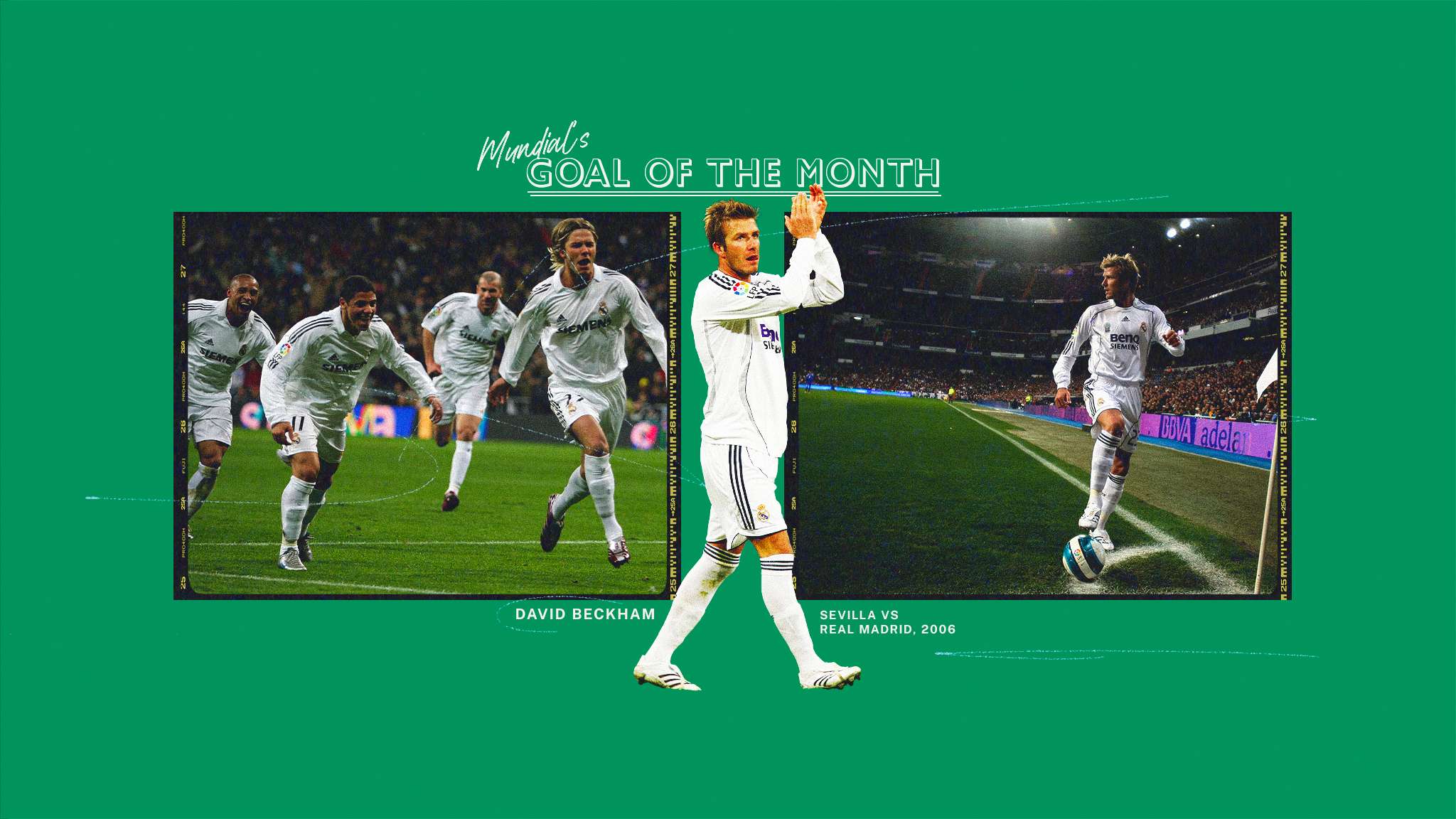 他才能在中 他才能在中